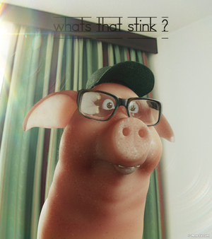r17-posemorph